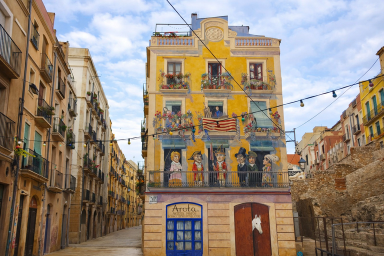 From Barcelona: Tarragona Private Tour with Expert & Driver