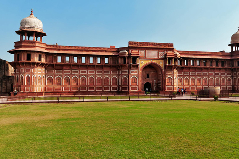 Desde Delhi: Visita Privada al Taj Mahal al Amanecer en CocheSólo transporte y guía turístico