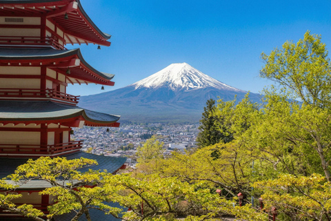 Mt. Fuji & Hakone Tour: Arakurayama, OshinoHakkai, Owakudani Tokyo Station | 7:30 AM Departure with English Guide