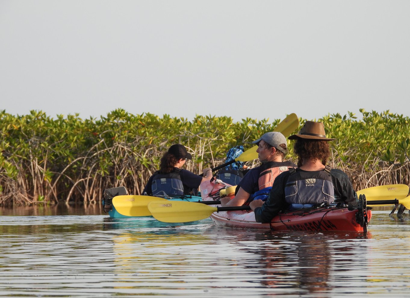 Tulum: Kajaksejlads og fuglekiggeri i Sian Ka’an