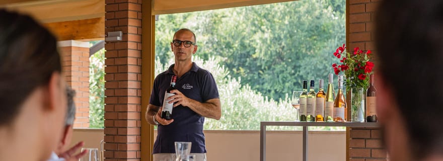 Bardolino : Visite du vignoble avec dégustation de vin, d'huile d'olive et de produits alimentaires