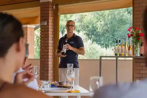 Bardolino: Tour gastronómico com vinho, azeite e degustação de alimentos