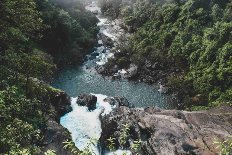 SIC Excursão de um dia à cascata de Dudhsagar e à plantação de especiarias