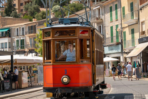 All of Mallorca: Exclusive Experience in an Intimate Group (12 people max.)