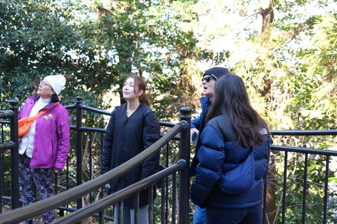 E-Bike Tour in Kyoto with Asuka, Japanese graduate student