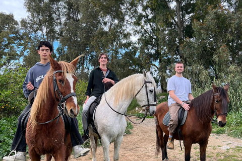 Guided tour on horseback through the guadalhorce valley
