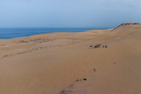 Depuis Agadir/Taghazout : Dunes de sable du Sahara avec transfert