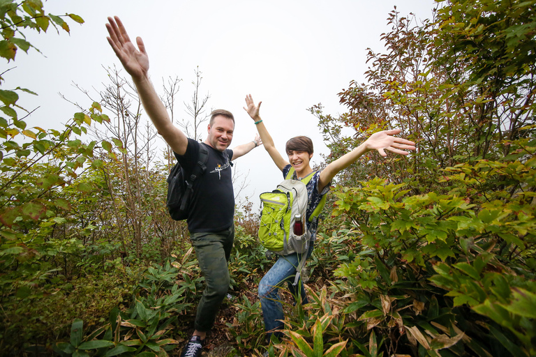 Hiroshima: Hike up Mt. Omine &amp; Panoramic View with Coffee