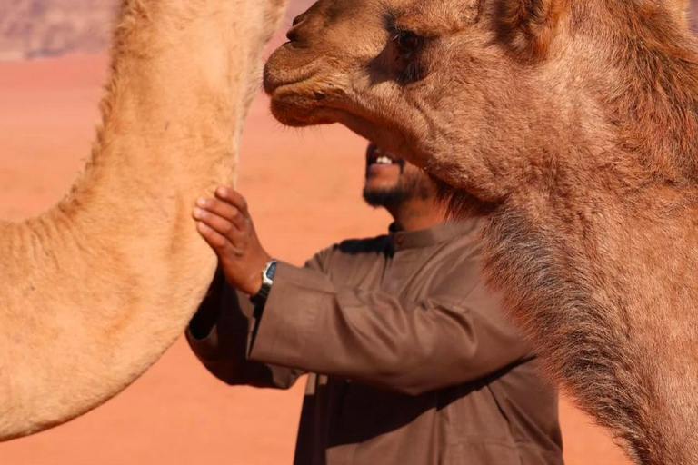 Wadi Rum: Hidden Valleys Tour with Bedouin Lunch