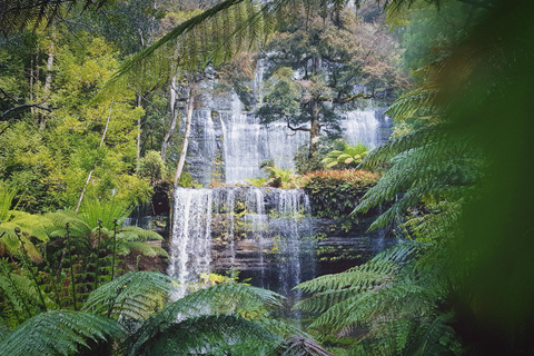 Tasmanie : 6 jours d'excursion dans la nature au départ de HobartMotel Chambre double