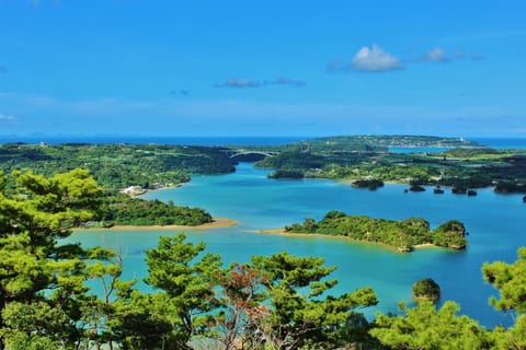 Matsushima: Scenic Bay Walk & Historic Temple Discovery - 2026