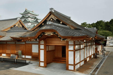 Nagoya: Grand Sumo Tournament & Nagoya Castle Tour w/ Guide