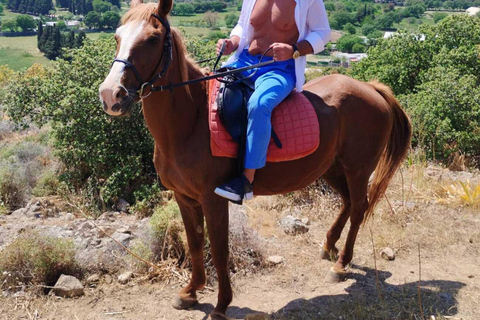 Bodrum: Horse Riding Experience with Forest or Seaside Route Seaside Horse Riding Tour (2 Hours – Beach Route)