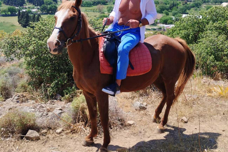 Bodrum: Horse Riding Experience with Forest or Seaside Route Seaside Horse Riding Tour (2 Hours – Beach Route)