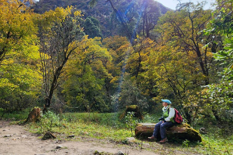 Från Kathmandu: 5 dagars Langtang Valley Nature Explore Trek