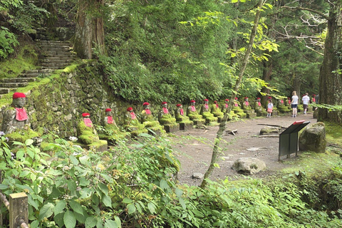 Tokyo:Nikko World Heritage Sites Customized Private Day Trip Nikko Private Tour –Minivan Up to 7 Guests