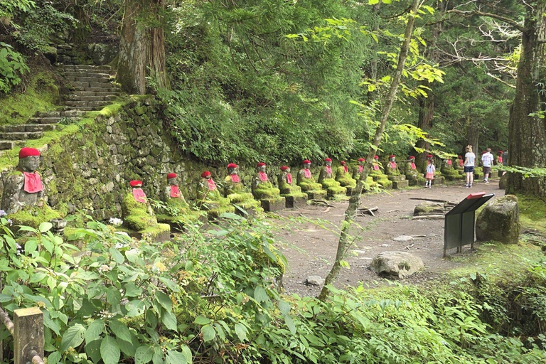 Tokyo:Nikko World Heritage Sites Customized Private Day Trip Nikko Private Tour –Minivan Up to 7 Guests