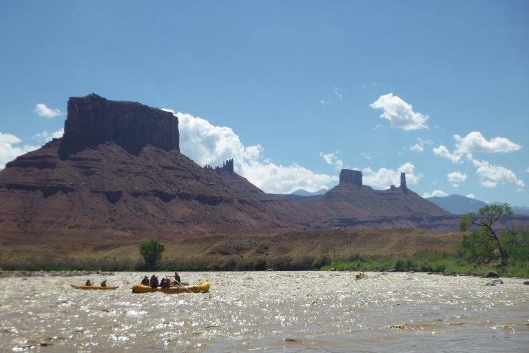 Colorado River Rafting: Moab Tagesausflug