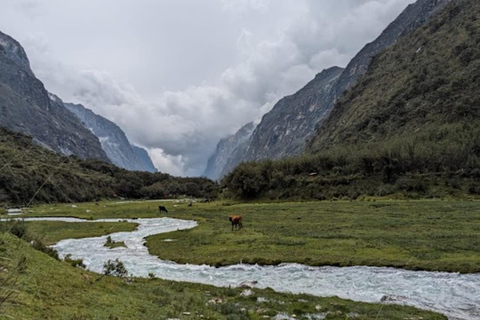 Huaraz: Full Day Lagoon 69 + Llanganuco Lagoon