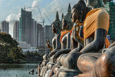 Muthurajawela Bird Watching Boat Tour & Colombo City Tour Tour from Bentota, Ahungalla, Hikkaduwa