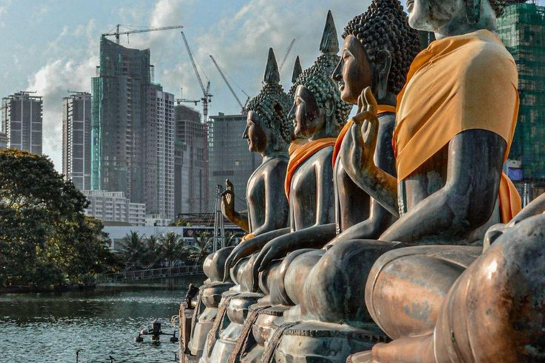 Muthurajawela Bird Watching Boat Tour & Colombo City Tour Tour from Bentota, Ahungalla, Hikkaduwa