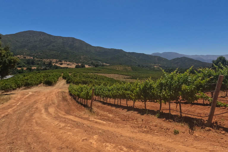 Curacaví Valley: Private Wine Tour of Viña Lopez Pangue and El Cuadro Curacaví Valley: Private Wine Route Tour - Viña Lopez Pangue and El Cuadro
