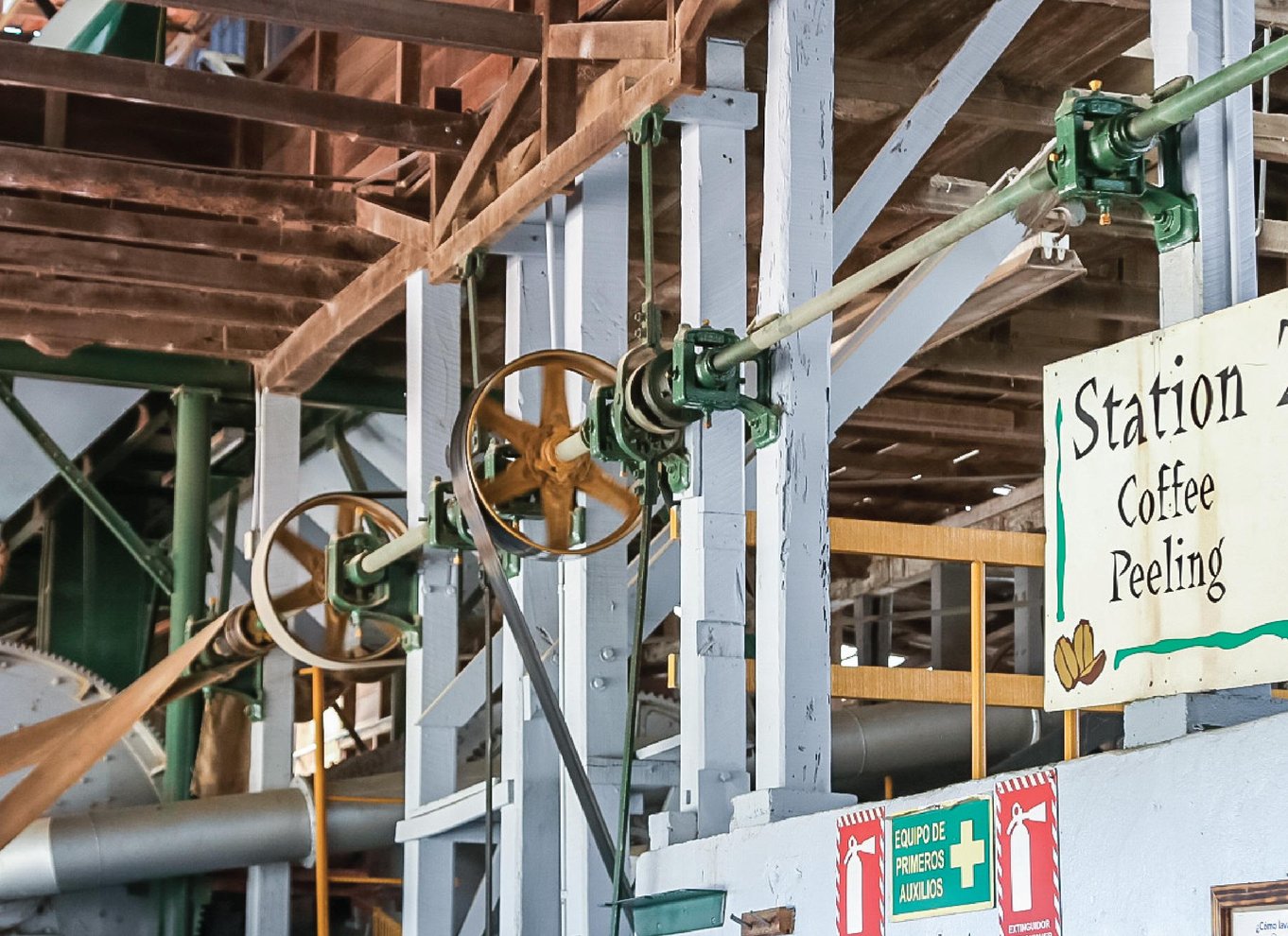 Alajuela: Guidet tur til kaffeplantage med smagning