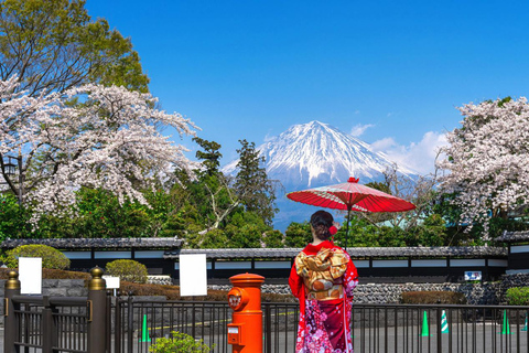 Tokyo: Mt Fuji Customizable Tour with Lakes & Pagoda