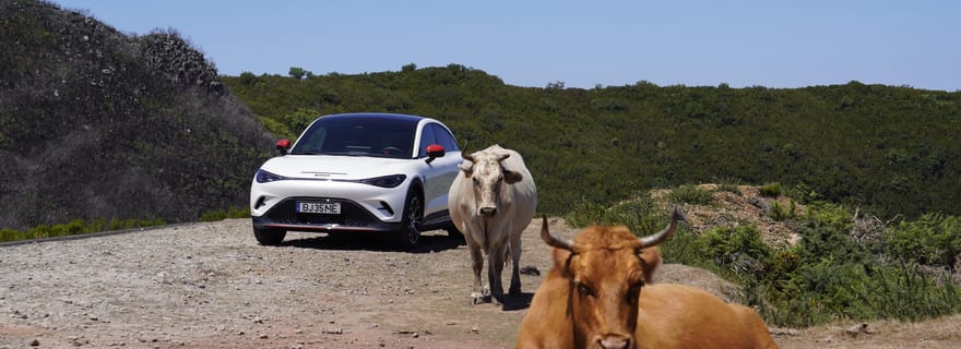 Visite privée Premium écologique de Madère en voiture électrique