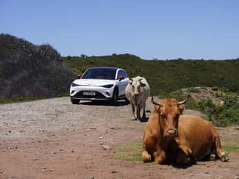 Madeira Private Premium Eco-Friendly Tour in Electric Car