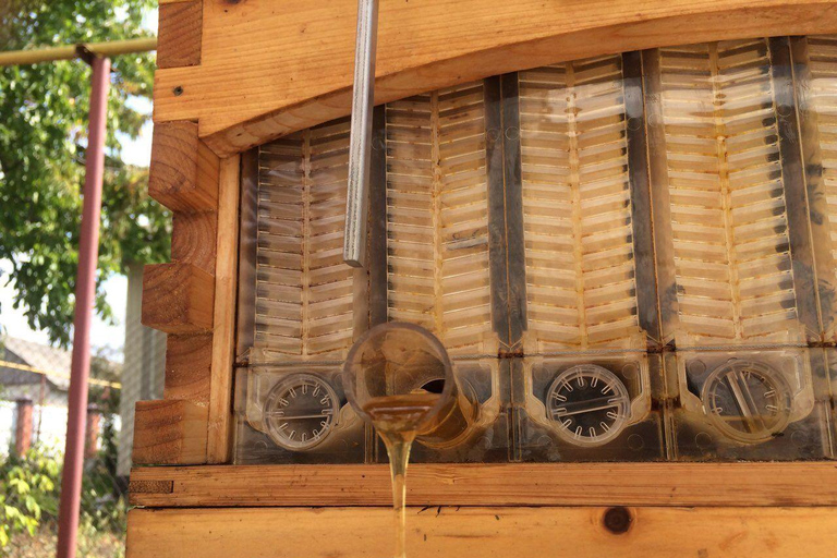 Chișinau: Plaiul Fagului Hike, Honey Tasting, & Monastery