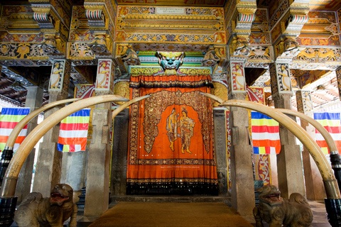 From Kandy: 4-Day Sri Lanka Hill Country Tour with Udawalawe