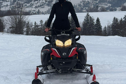 Zakopane Snowmobile, Quad or Buggy Ride & Treetop Skywalk Snowmobile, Quad or Buggy Ride & Skywalk (No Rental)
