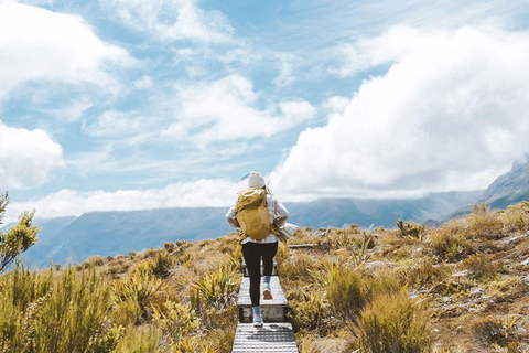 Fiordland: Caminhada guiada de um dia pela trilha Routeburn e Key SummitFiordland: Caminhada guiada de um dia pela trilha Routeburn e pelo Key Summit