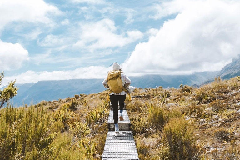 Fiordland: Caminhada guiada de um dia pela trilha Routeburn e Key SummitFiordland: Caminhada guiada de um dia pela trilha Routeburn e pelo Key Summit