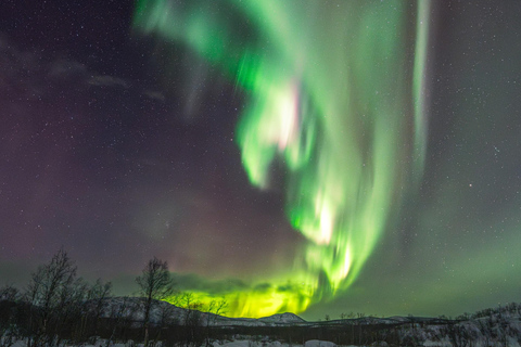 Abisko: Aurora Car Chasing Tour con fotógrafo