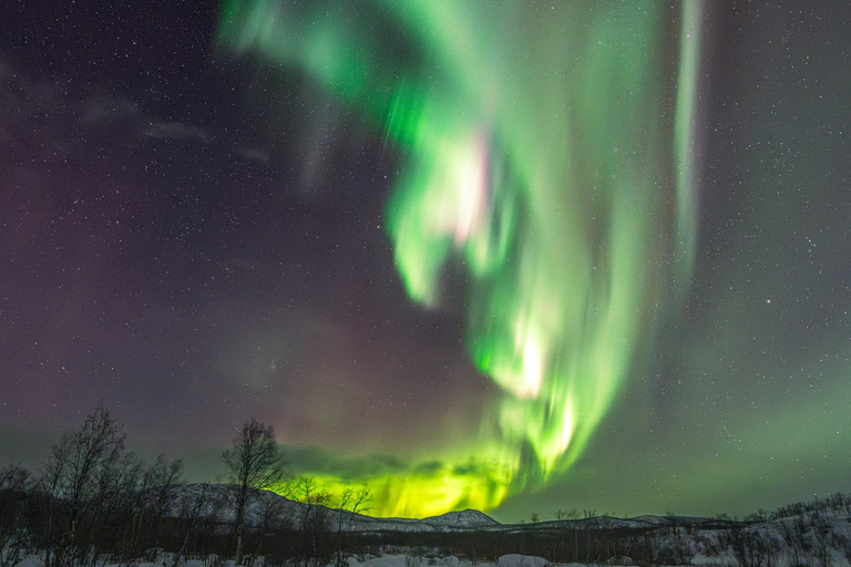 Abisko: Tour a caccia di auto dell&#039;aurora con fotografo