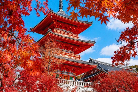 Nikko: Kegon Falls, Chuzenji, Shinkyo Bridge, Toshogu Temple In Luxury Velfire Nikko Private Customized Tour