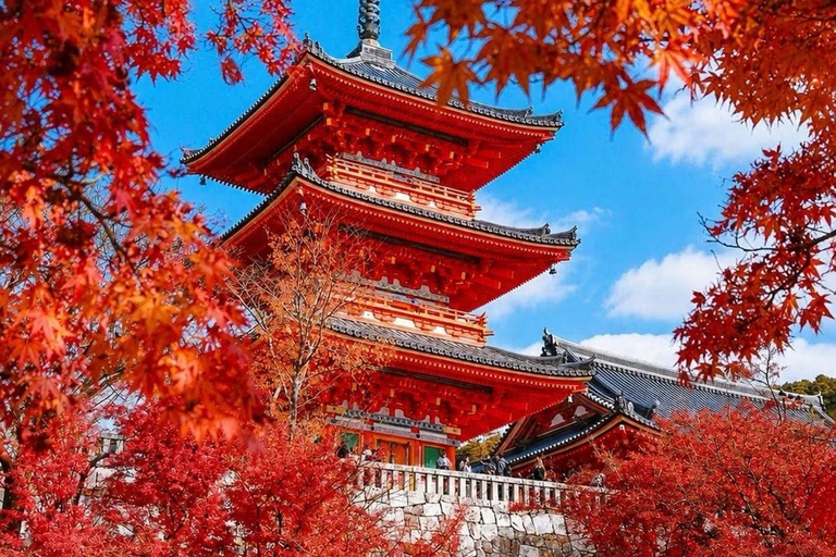 Nikko: Kegon Falls, Chuzenji, Shinkyo Bridge, Toshogu Temple In Luxury Velfire Nikko Private Customized Tour