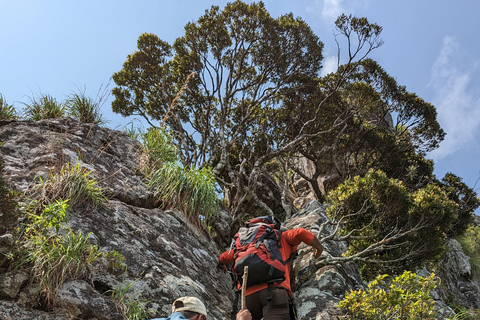 Da Kandy: escursione alle cime gemelle di Kanawiddagala e YahangalaDa Kandy: escursione alle due cime gemelle di Kanawiddagala e Yahangala