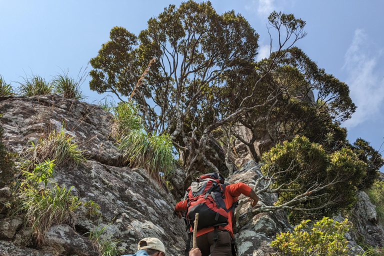 Da Kandy: escursione alle cime gemelle di Kanawiddagala e YahangalaDa Kandy: escursione alle due cime gemelle di Kanawiddagala e Yahangala