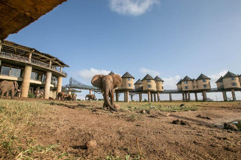 Saltlick Safari från Mombasa med övernattning