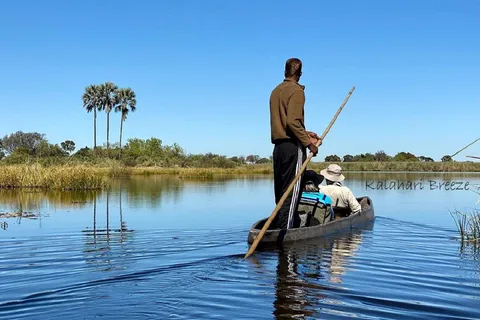 Okavango Delta: Full-Day Mokoro/Canoe Tour All-Inclusive