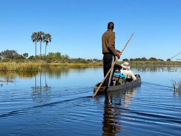 Delta do Okavango: Passeio de 1 dia em Mokoro/Canoa, com tudo incluído