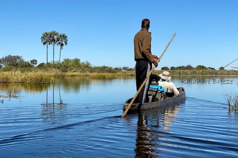 Delta de l'Okavango : 1 journée d'excursion en mokoro/canoë tout compris