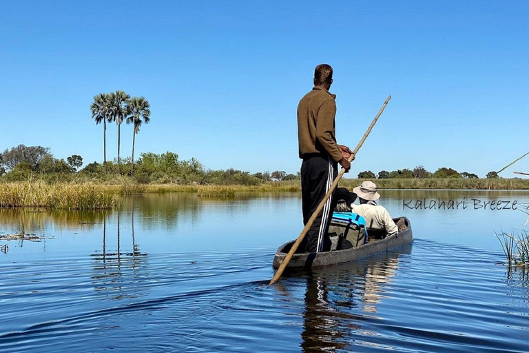 Delta de l'Okavango : 1 journée d'excursion en mokoro/canoë tout compris