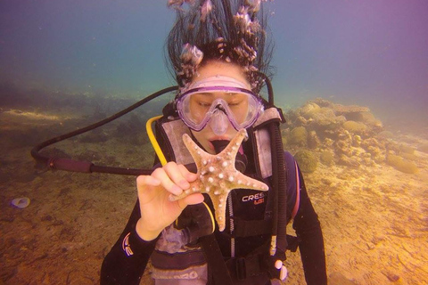 CEBU : Essai de plongée et photo sous-marine souvenir