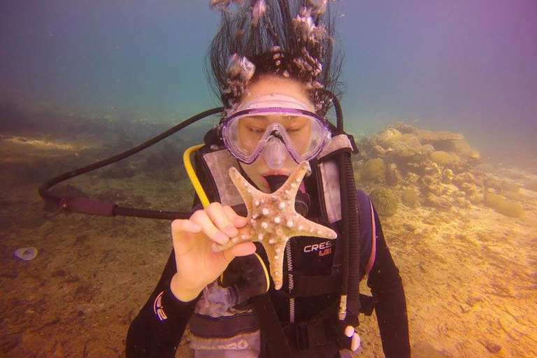 CEBU : Essai de plongée et photo sous-marine souvenir