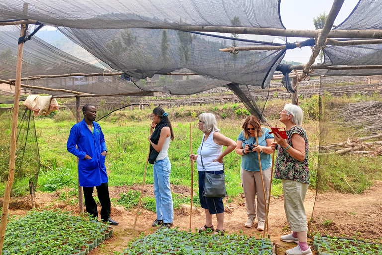 Kigali: Guided City Walking Tour with Local Guide