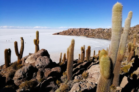 Uyuni: 1-dniowa wycieczka jeepem na wyspę Incahuasi i solniska Uyuni